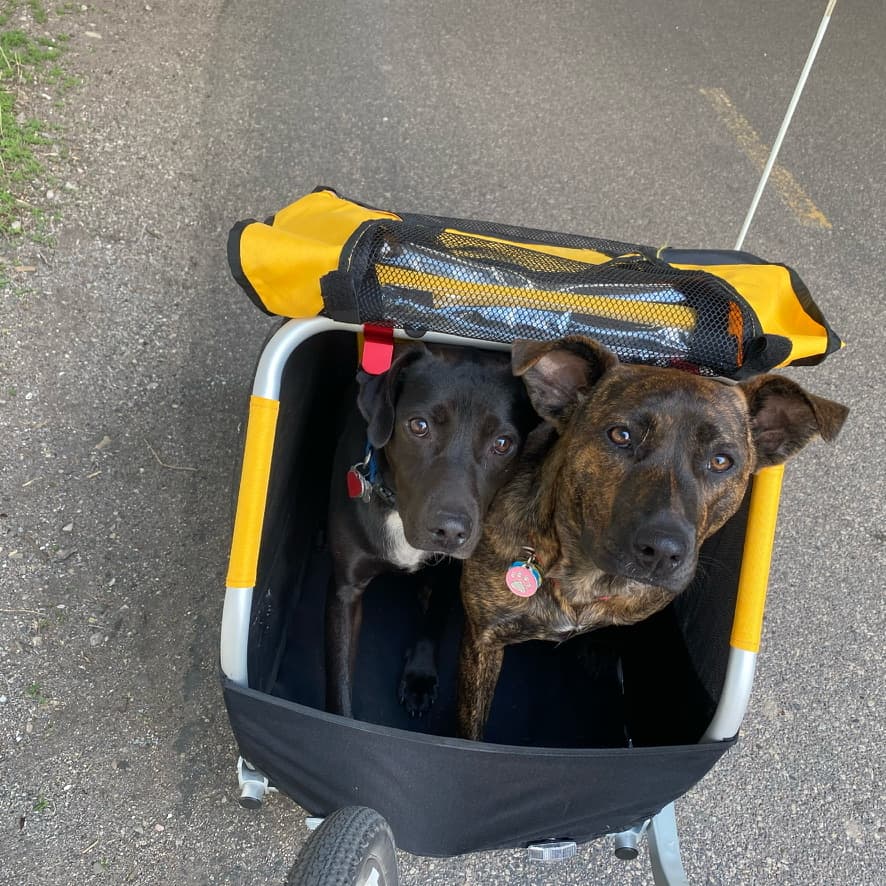 Charlie and Cheeky in their trailer